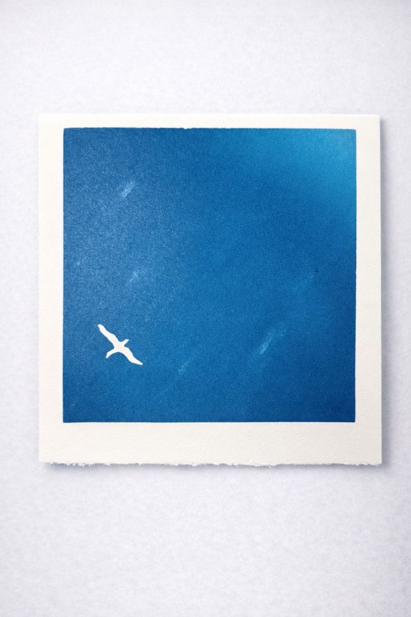 Fire Island Skies II